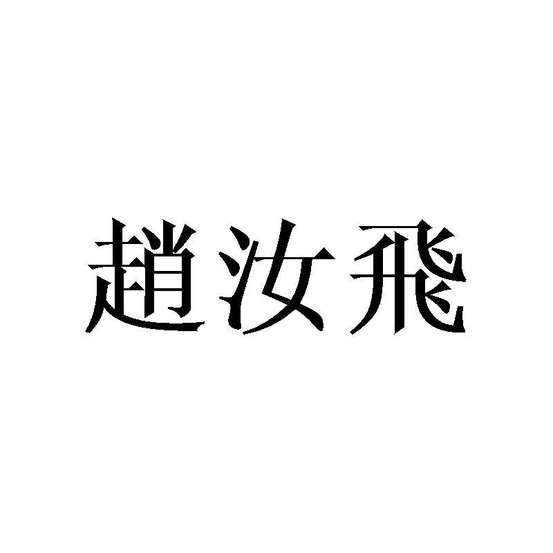 赵汝飞
