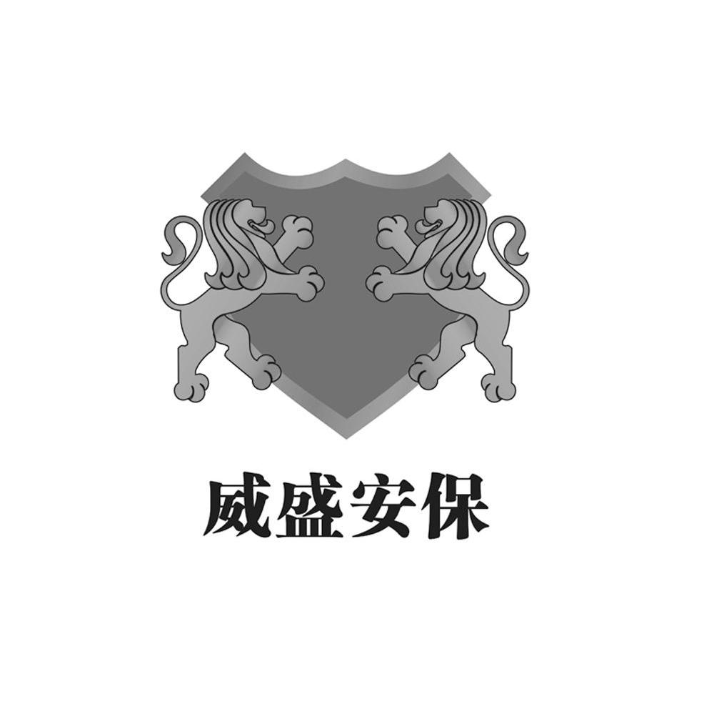 威盛安保