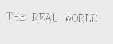 THE REAL WORLD