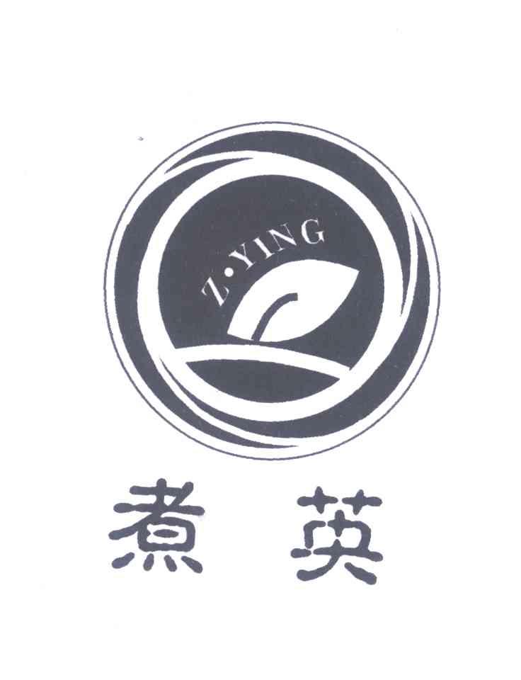 煮英;Z YING