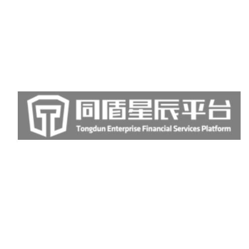 同盾星辰平台 TONGDUN ENTERPRISE FINANCIAL SERVICES PLATFORM