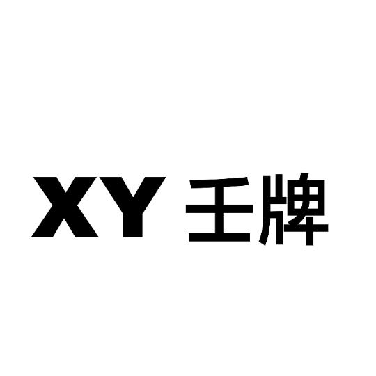 XY 壬牌