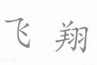 飞翔