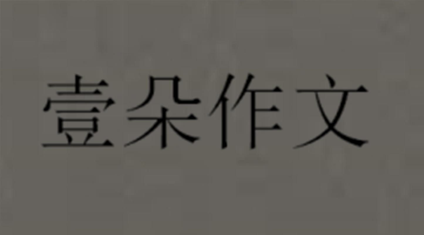 壹朵作文