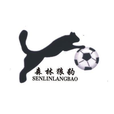森林狼豹