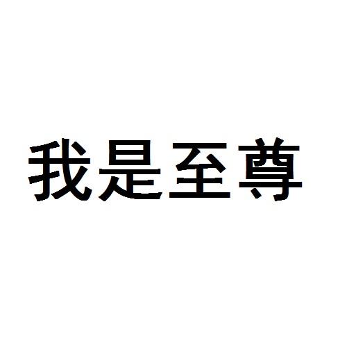 我是至尊