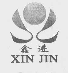 鑫进