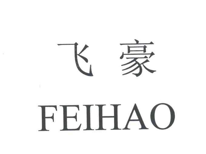 飞豪