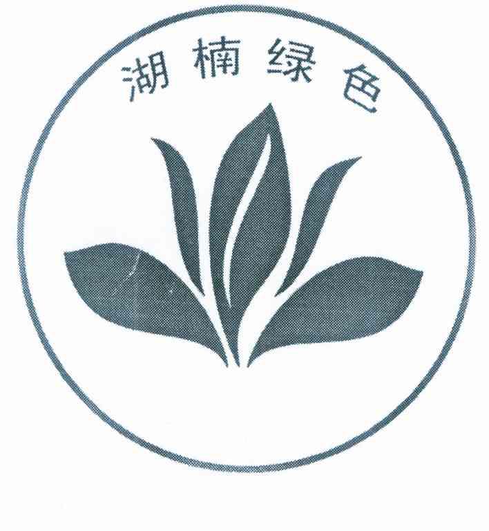 湖楠绿色