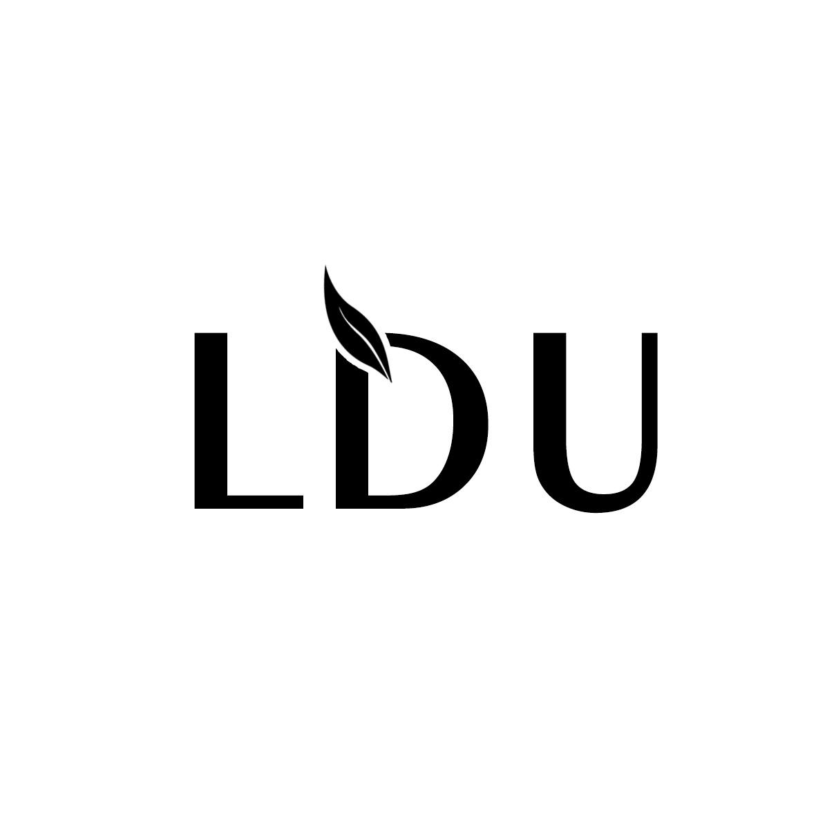 LDU