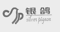 银鸽   SILVER PIGEON