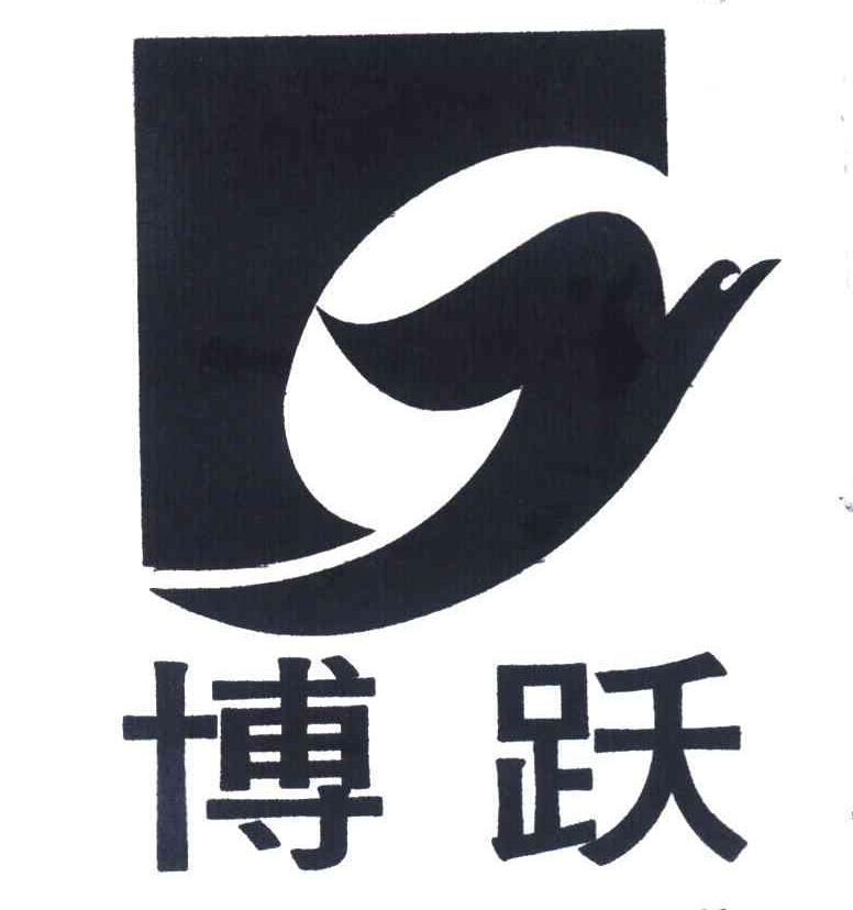 博跃 Y