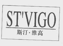 斯汀.维高  ST'VIGO