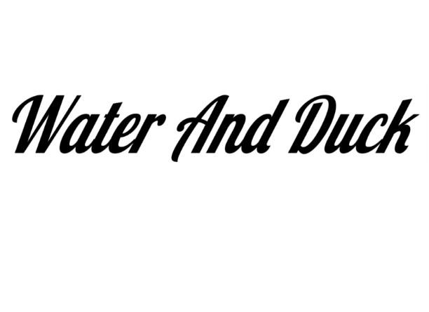 WATER AND DUCK