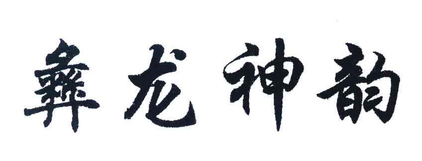 彝龙神韵