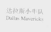 达拉斯小牛队   DALLAS MAVERICKS