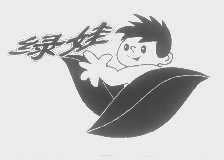 绿娃