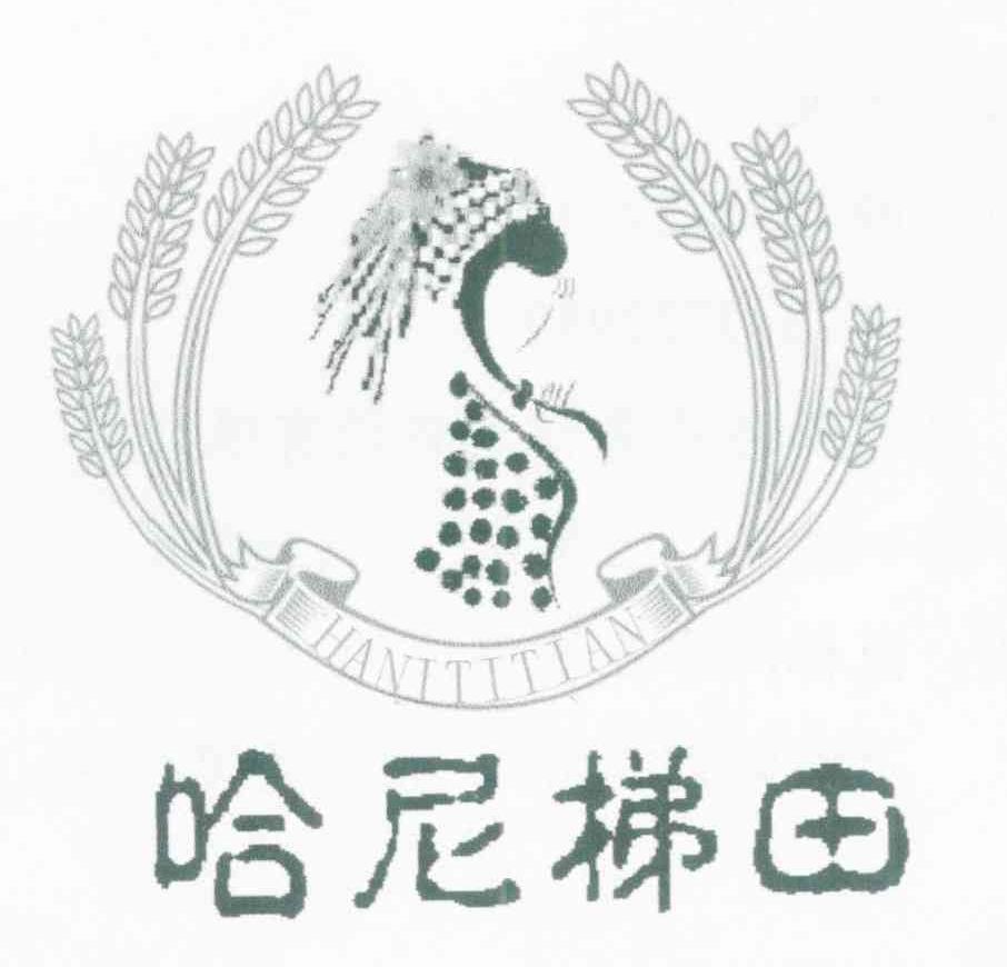 哈尼梯田