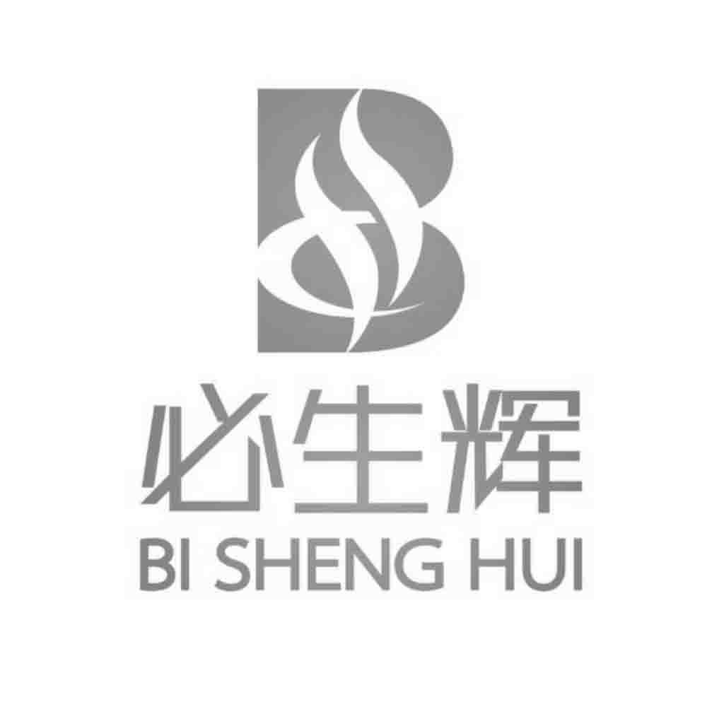 必生辉