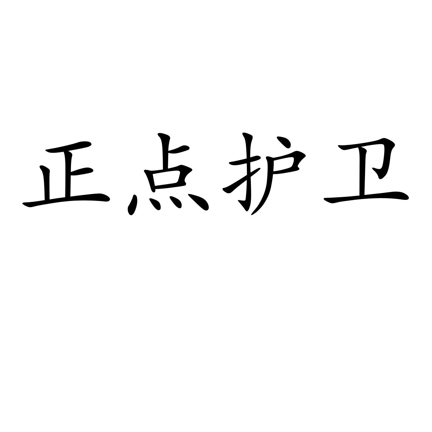 正点护卫