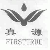真源;FIRSTTRUE