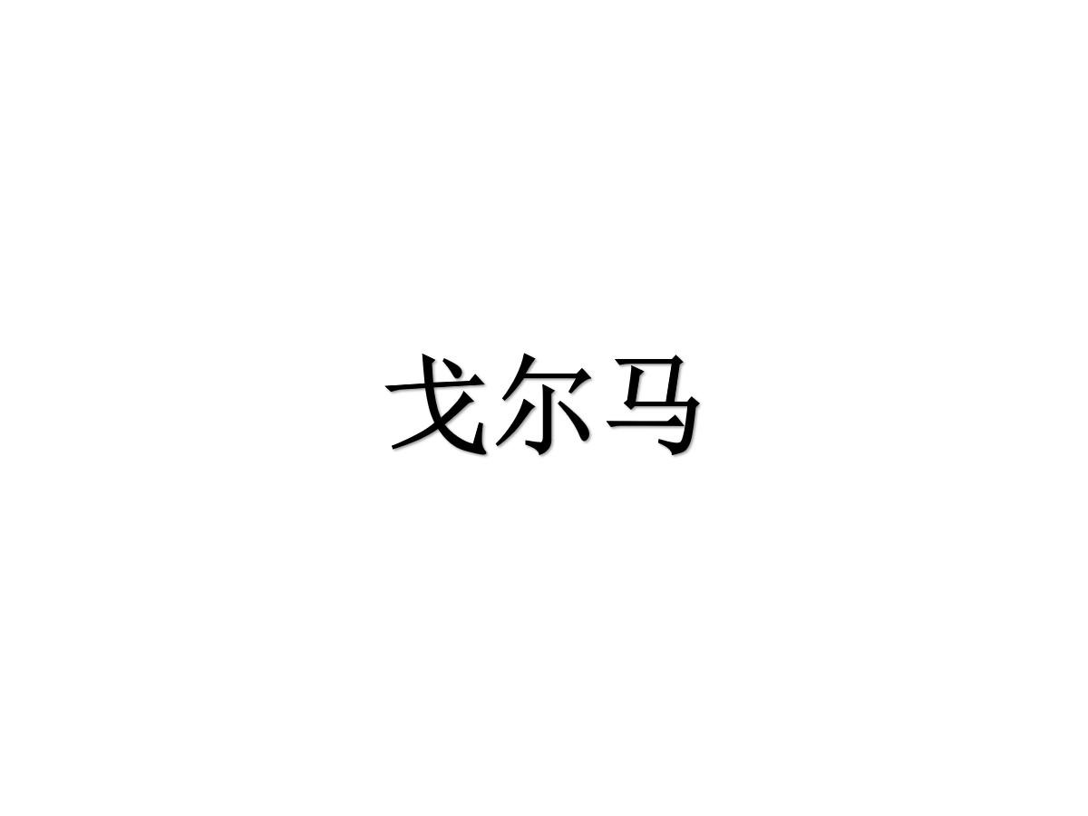 戈尔马