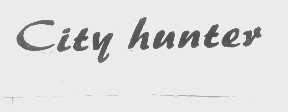 CITY HUNTER