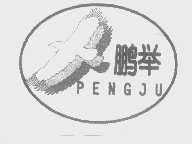 鹏举