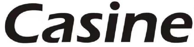 CASINE
