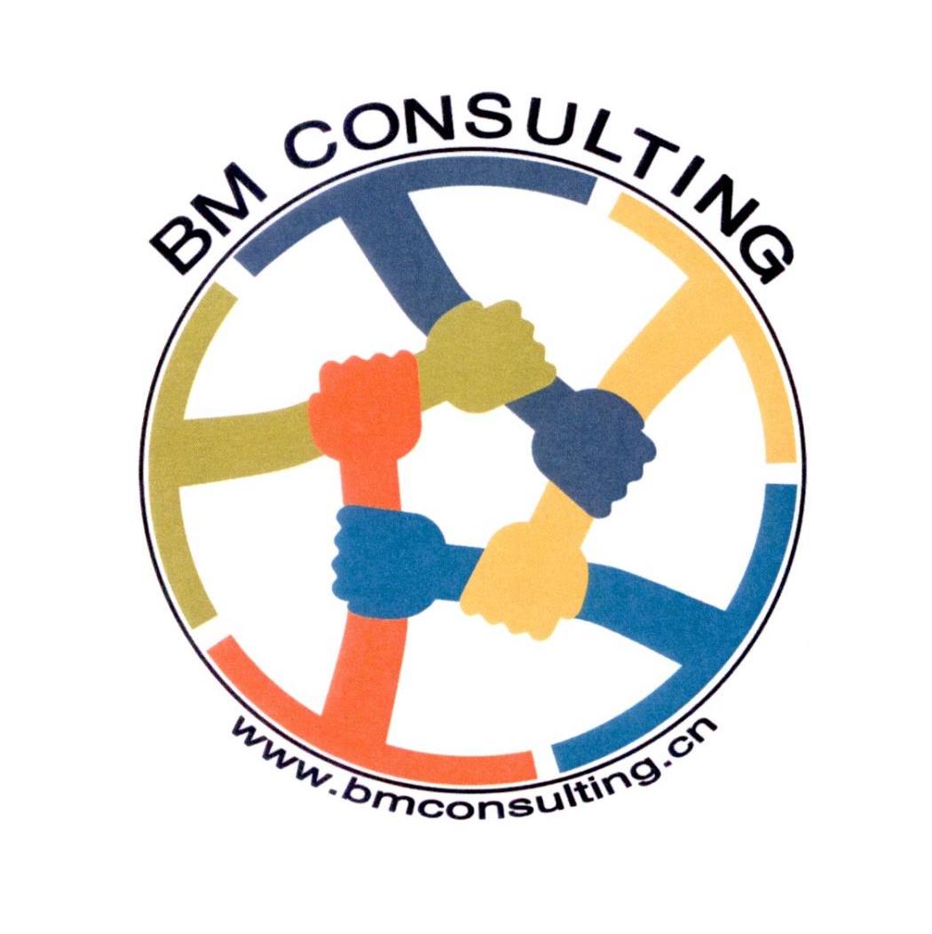 BM CONSULTING WWW.BMCONSULTING.CN