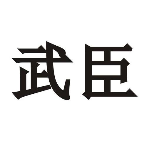 武臣
