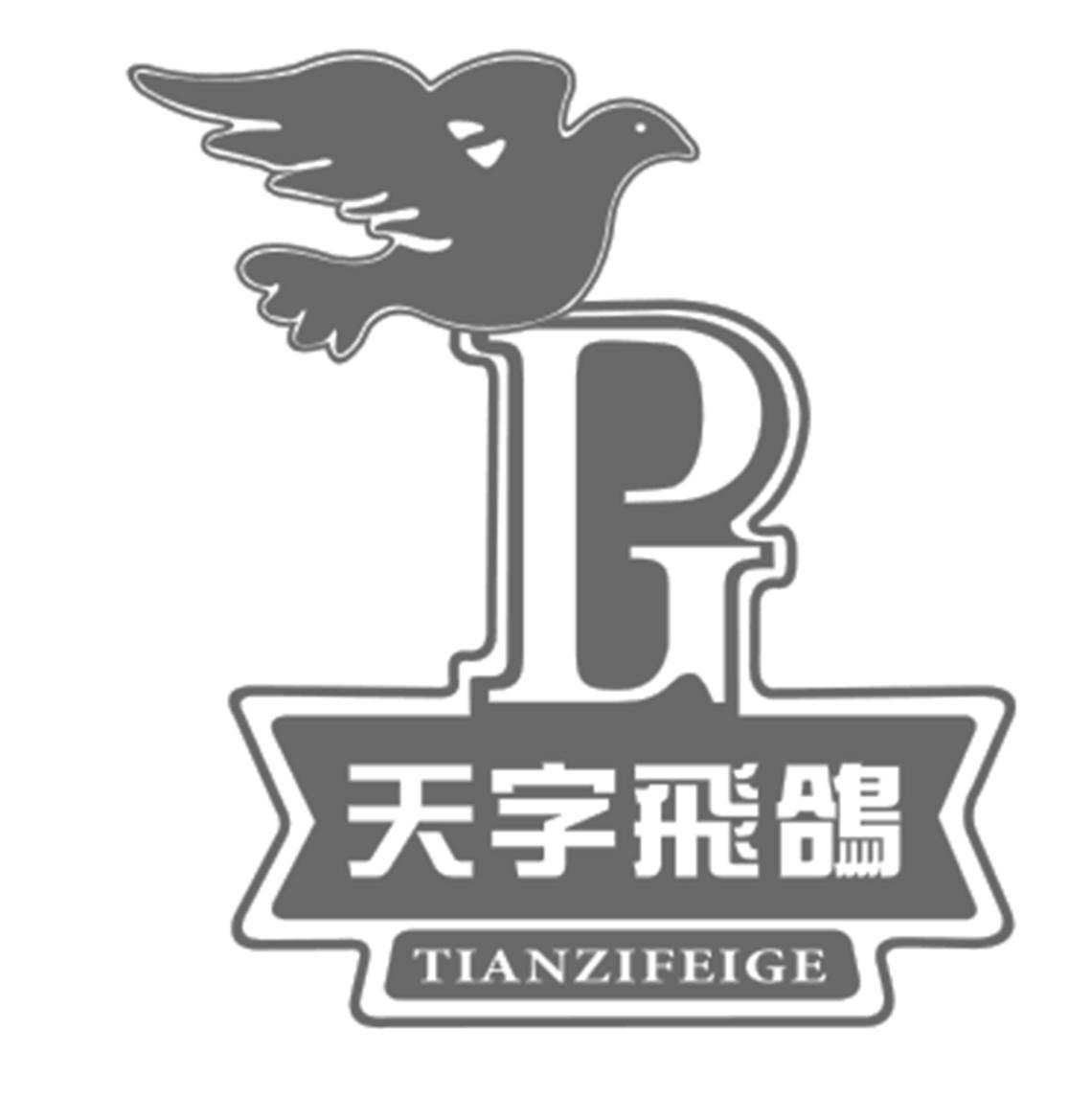 天字飞鸽
