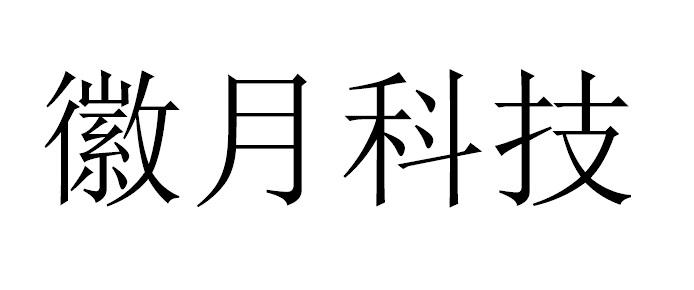 徽月科技