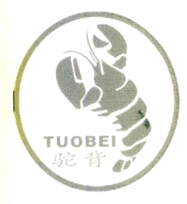 驼背