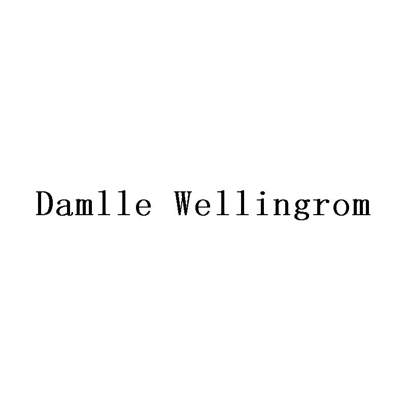DAMLLE WELLINGROM
