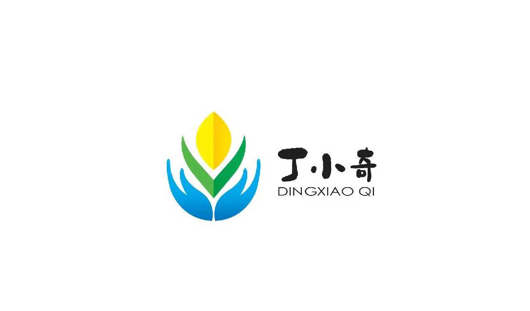 丁小奇