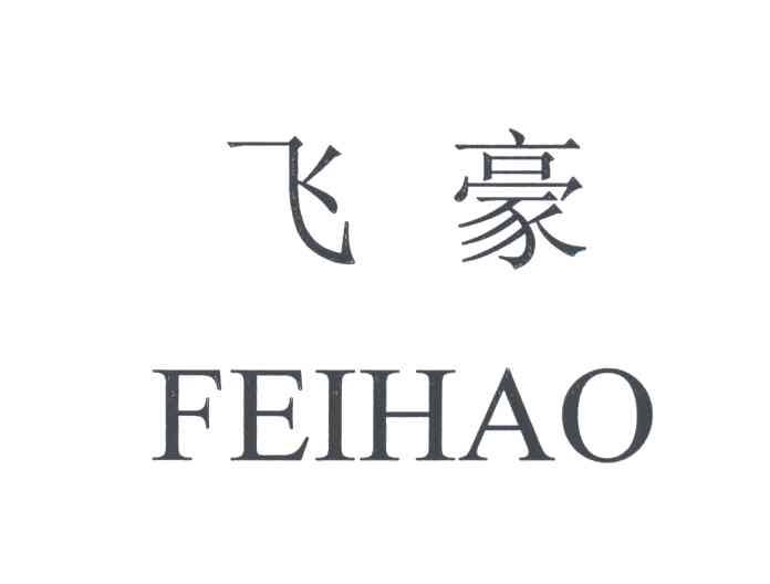 飞豪