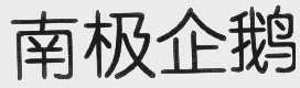 南极企鹅