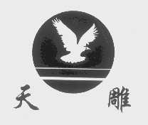 天雕