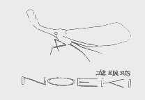 龙眼鸡   NOEKI