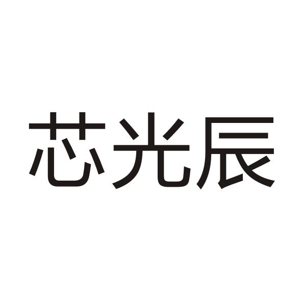 芯光辰