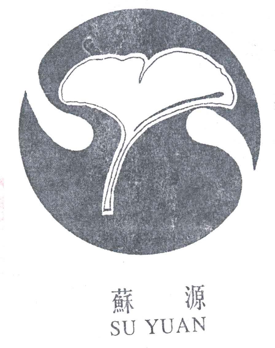 苏源