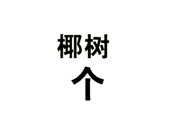 椰树 个
