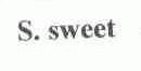 S.SWEET
