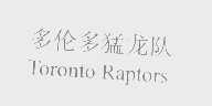 多伦多猛龙队   TORONTO RAPTORS