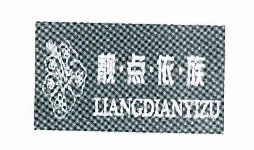 靓点依族
