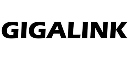 GIGALINK
