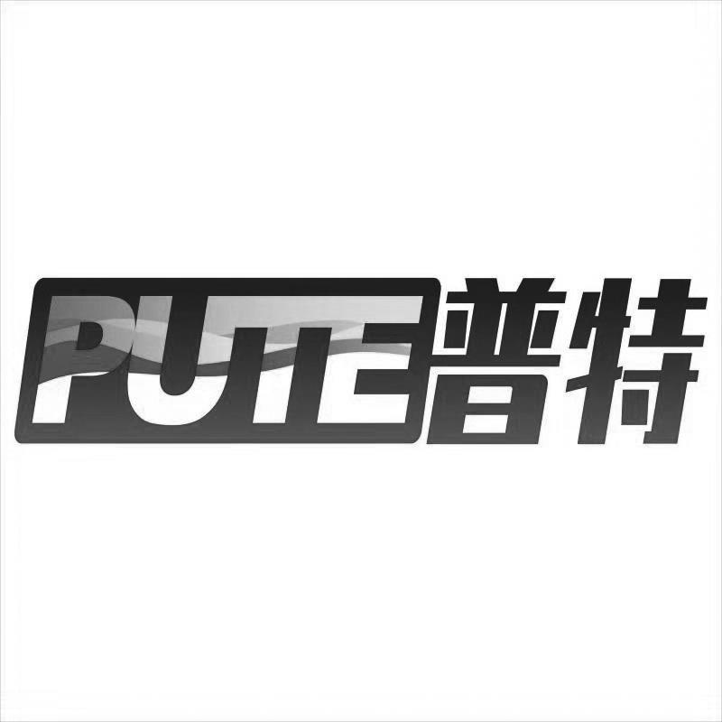 普特