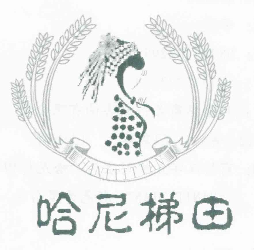 哈尼梯田