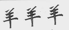 羊羊羊